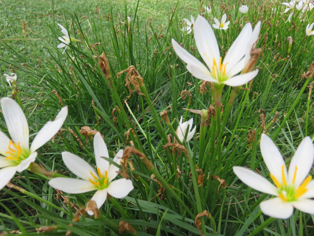 imagini hotel Barut Sorgun